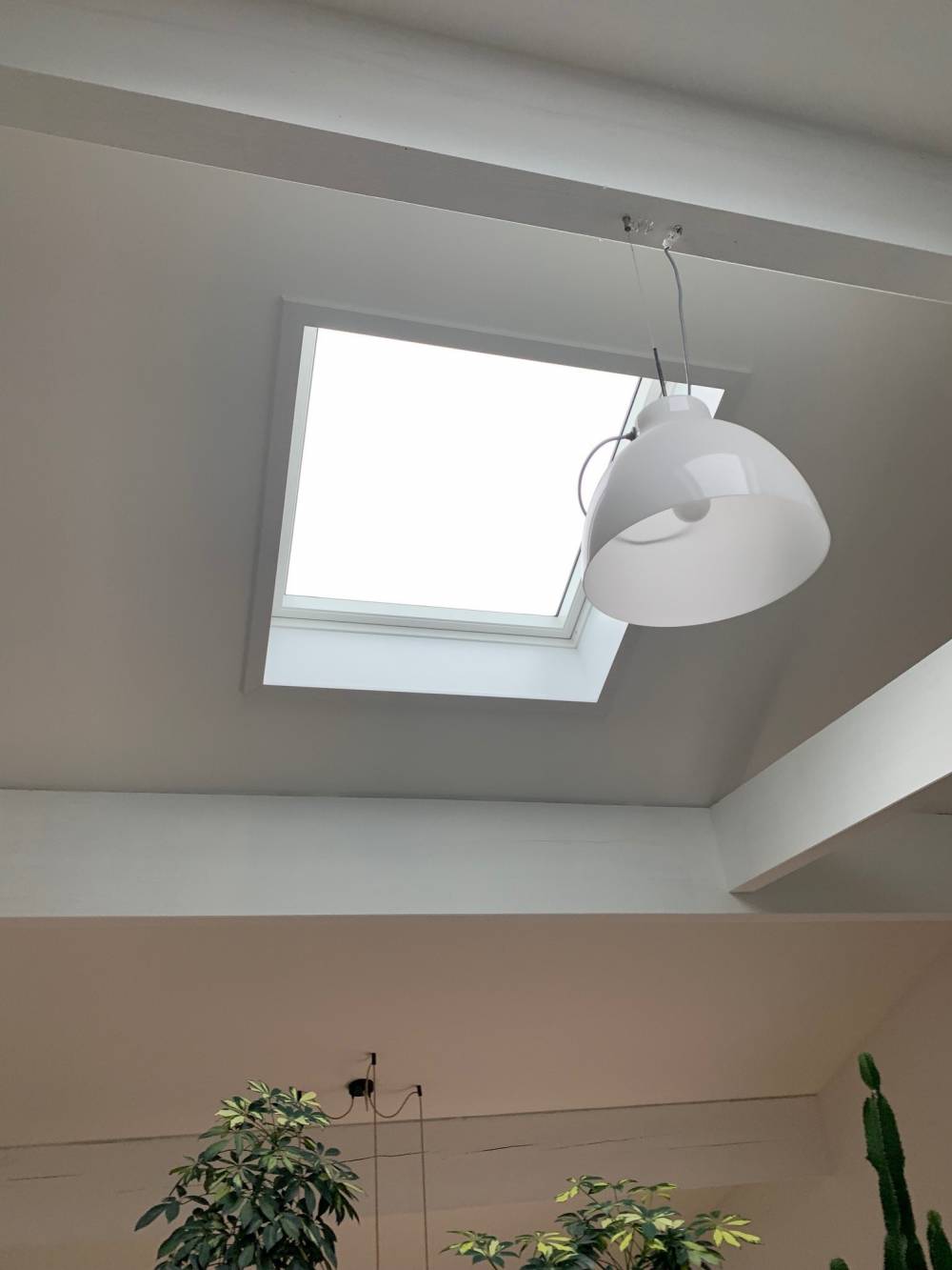 Velux 5.jpg